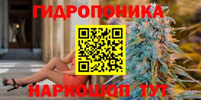 МДПВ Гатчина