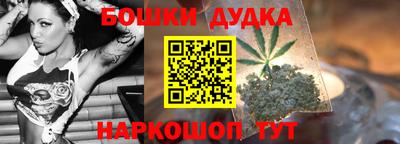 МДПВ Гатчина