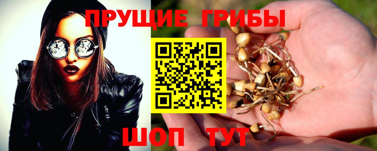 Псилоцибиновые грибы ЛСД Надым