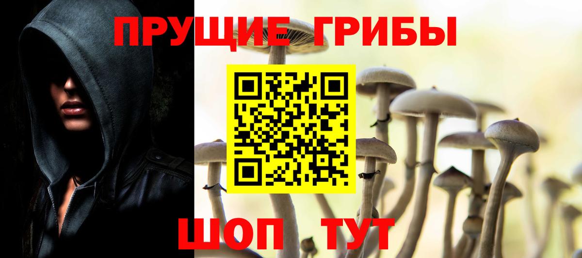 Надым  Галлюциногенные грибы прущие грибы  Вход с VPN 